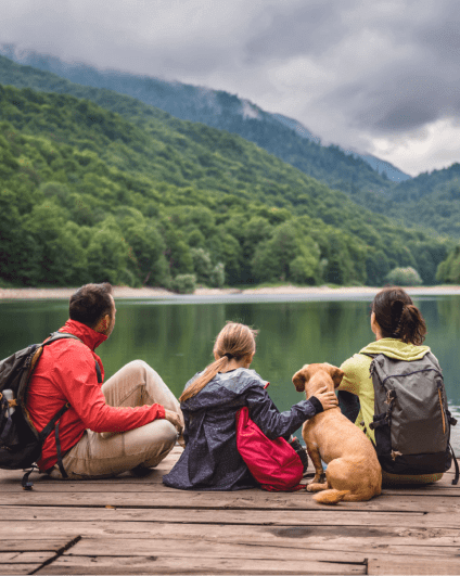 Work Abroad Placement